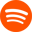 spotify-icon